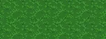 grass.jpg