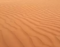 Images/background01.jpg