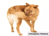 eheheh.jpg