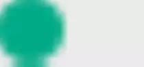 images/right-bullet.jpg