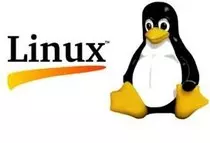 Imagenes_y_Videos/ImgLinux1100.jpg