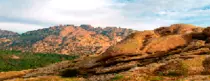 Mod2_Opcional2/img/pedri1.png