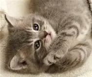MISHA2.jpg
