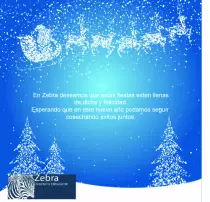 navidad.jpg