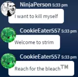 strim in a nutshell.png