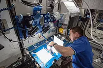 Expedition_36_flight_engineer_Chris_Cassidy.jpg