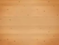 flip/assets_zine/skins/light_wood.png