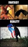 spiderman and batman.jpg
