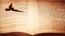 libro.gif