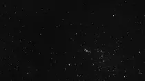 t.gif