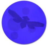 moon small.png