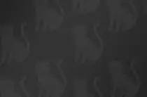 img/cats-bg.jpg