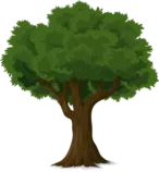 tree-576847_640.png