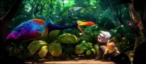 images/image-slider-4.jpg