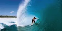 surfing.jpg