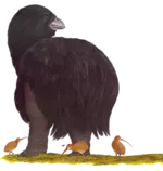 burr.png