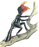 image10.png