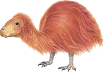 image11.png