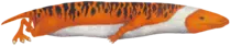 image4.png
