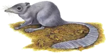 image6.png