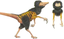 image7.png