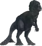 image8.png