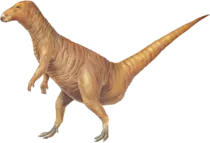 image9.png