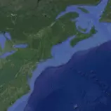 ani/shiggy.gif