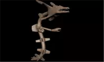 fotos reduides/raiquaza.png