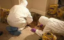 forensic_1504124c.jpg