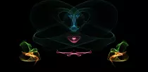 images/silk3.png
