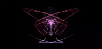 images/silk4.png