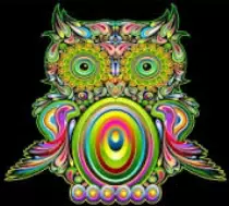 owl/images/owl2.jpg