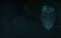 owl/images/owl3.jpg