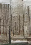 berlin/berlinwallphoto.jpg
