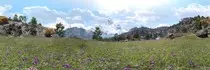 images/fc4/fc4_small_16.jpg