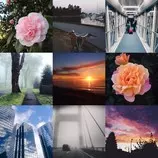 IMAGES/instagram collage.jpg