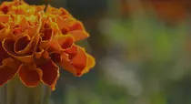 images/slider-image3.jpg