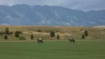 NickRidingAHorse.jpg