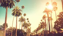 images/losangeles.jpg