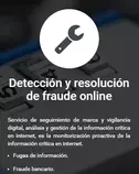 imagenes/fraudeonline.png