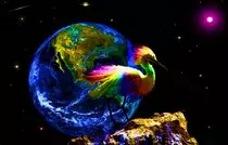 images/CoolBird.jpg