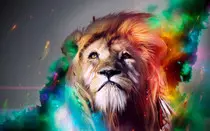 images/Lion.jpg
