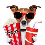 images/Movie.jpg