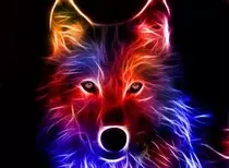 images/Wolf.jpg
