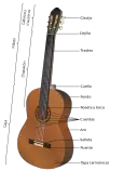 Pagina_web/imagenes/Acoustic_guitar-es.svg.png