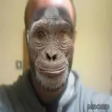 papa.jpg
