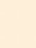 Background.jpg