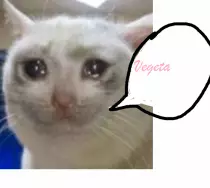 vegeta.png