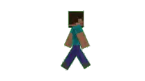 img/minecraft_man.png